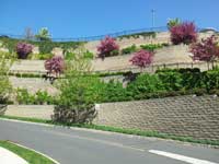 Skyline Ridge Retaining Wall Skyline Ridge Retaining Wall