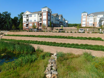 Tiered retaining wall Tiered retaining wall
