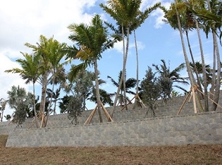 New elevated look for South Florida Beach Town