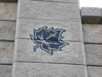 Sand Blasted Maple Leaf Sand Blasted Maple Leaf